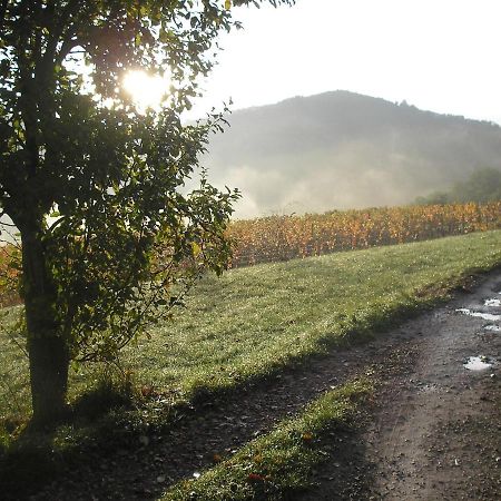 Grange Renovee En Pleine Nature Valady エクステリア 写真