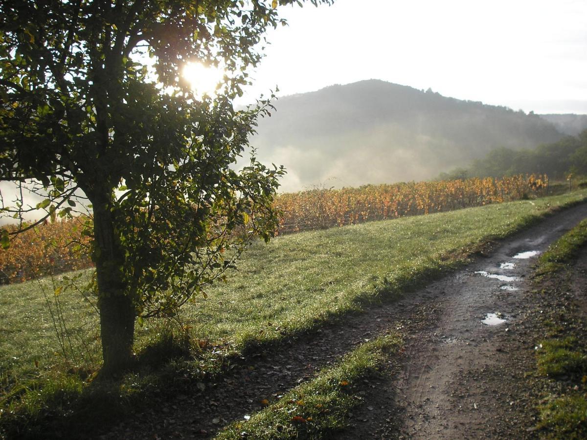 Grange Renovee En Pleine Nature Valady エクステリア 写真